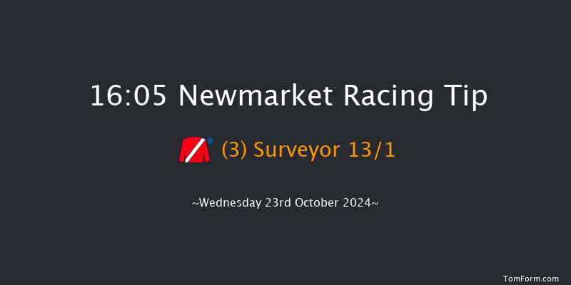 Newmarket  16:05 Handicap (Class 3) 8f Sat 12th Oct 2024