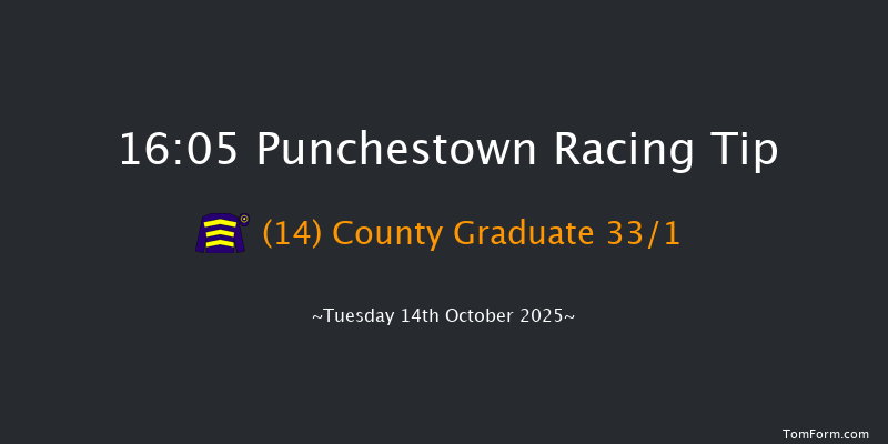 Punchestown 16-05 20f Tue 16th Sep 2025