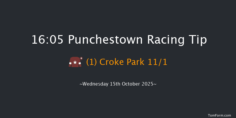 Punchestown 16-05 (Class 1) 23f Tue 14th Oct 2025