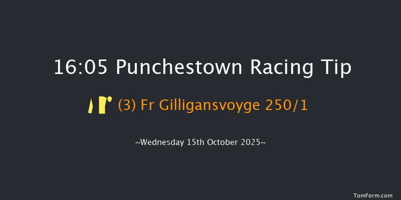 Punchestown 16-05 (Class 1) 23f Tue 14th Oct 2025