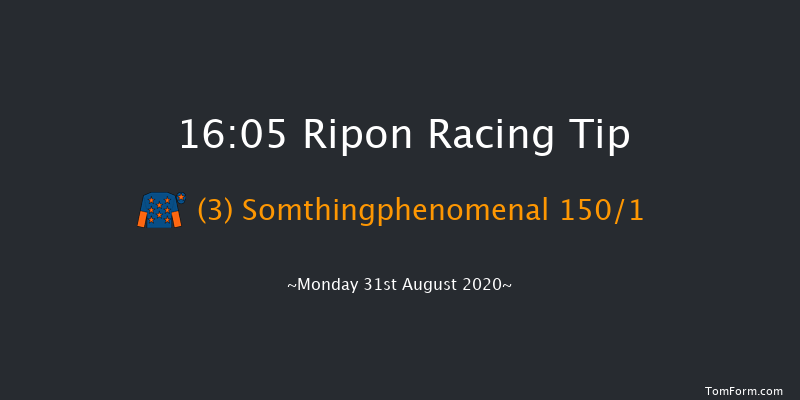 Markington Maiden Stakes (Plus 10) Ripon 16:05 Maiden (Class 5) 10f Sun 16th Aug 2020