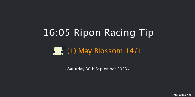 Ripon 16:05 Handicap (Class 4) 5f Tue 5th Sep 2023