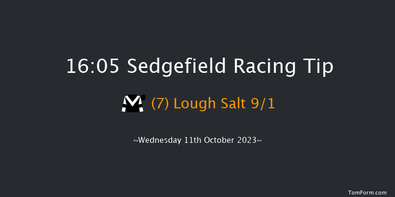Sedgefield 16:05 Handicap Chase (Class 5) 27f Tue 3rd Oct 2023