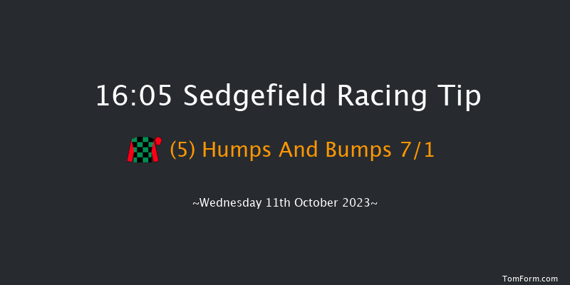 Sedgefield 16:05 Handicap Chase (Class 5) 27f Tue 3rd Oct 2023
