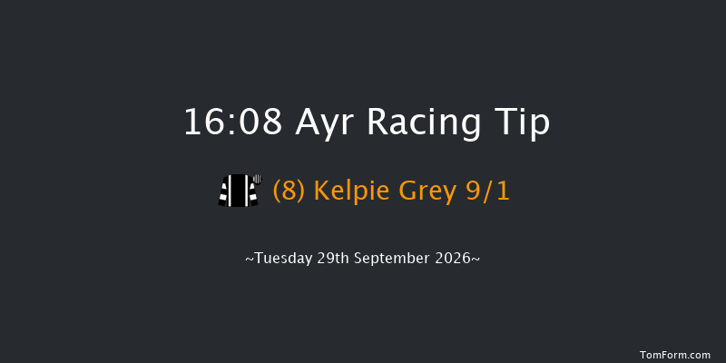 Ayr 16-08 (Class 6) 7f Sat 19th Sep 2026