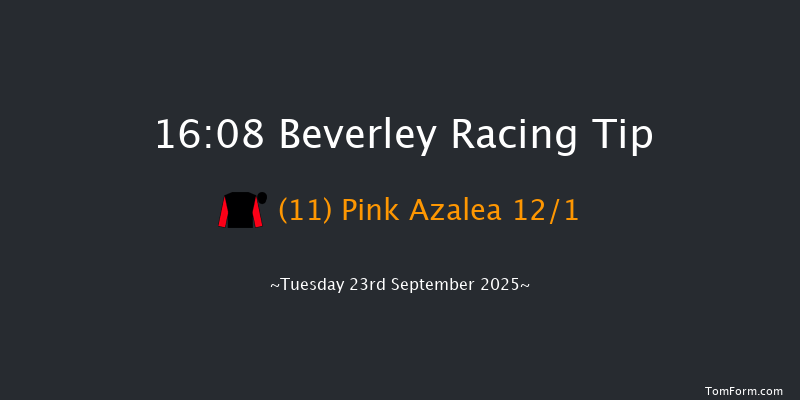 Beverley 16-08 (Class 4) 7f Wed 17th Sep 2025