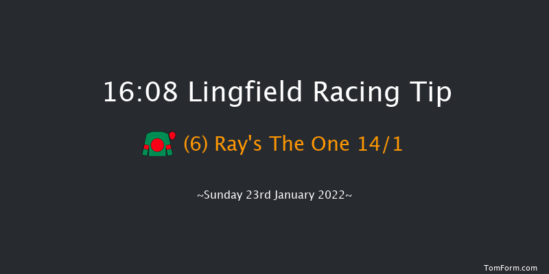 Lingfield 16:08 Handicap Hurdle (Class 3) 20f Sat 22nd Jan 2022