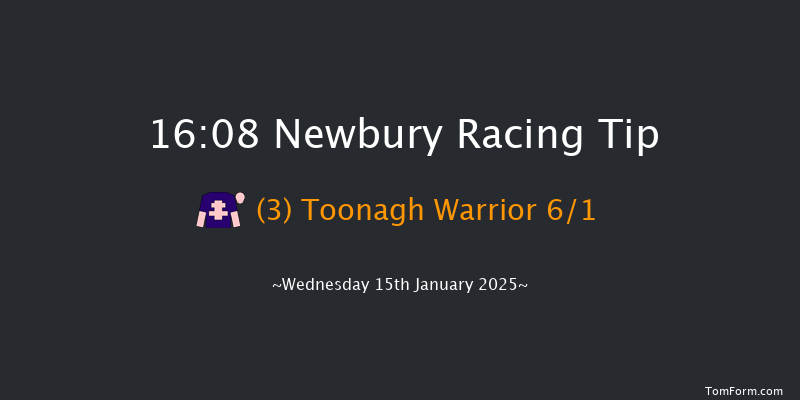 Newbury  16:08 Handicap Hurdle (Class 4) 24f Sat 28th Dec 2024