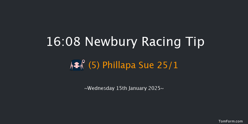 Newbury  16:08 Handicap Hurdle (Class 4) 24f Sat 28th Dec 2024