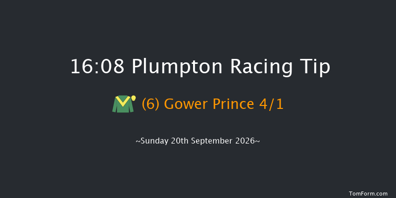 Plumpton 16-08 (Class 3) 15f Tue 26th May 2026