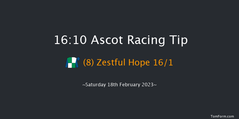 Ascot 16:10 Handicap Hurdle (Class 3) 24f Sat 19th Nov 2022