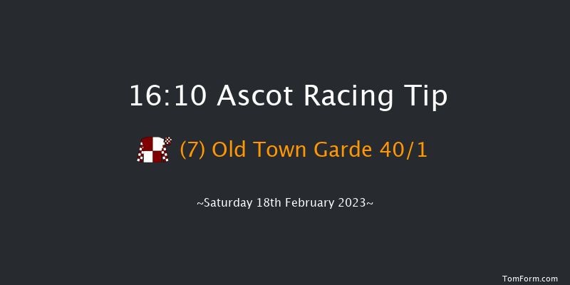 Ascot 16:10 Handicap Hurdle (Class 3) 24f Sat 19th Nov 2022