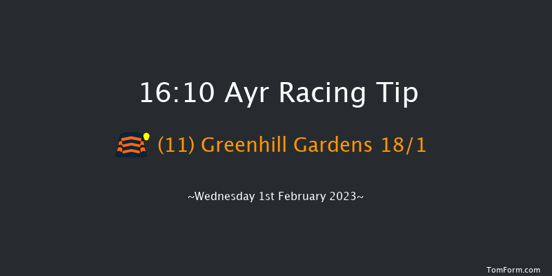 Ayr 16:10 NH Flat Race (Class 5) 16f Mon 9th Jan 2023