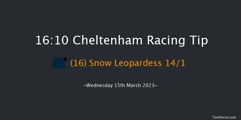 Cheltenham 16:10 Conditions Chase (Class 2) 30f Tue 14th Mar 2023