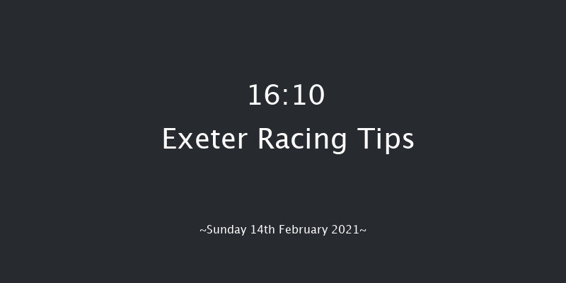 Pertemps Network Handicap Hurdle (GBB Race) Exeter 16:10 Handicap Hurdle (Class 2) 23f Tue 19th Jan 2021