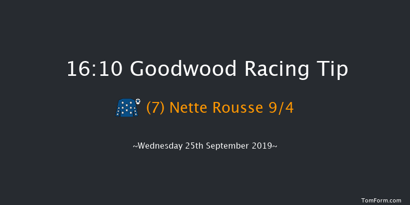 Goodwood 16:10 Handicap (Class 2) 14f Tue 3rd Sep 2019