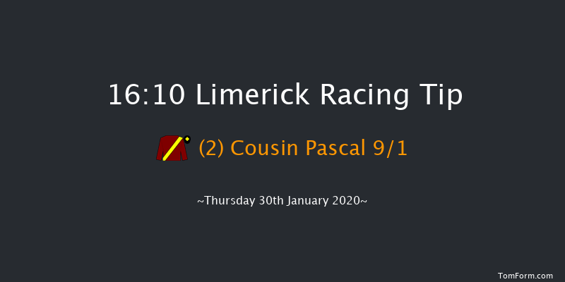 Limerick 16:10 Handicap Hurdle 24f Sun 29th Dec 2019