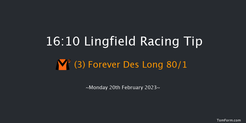 Lingfield 16:10 Handicap Hurdle (Class 5) 16f Sat 18th Feb 2023