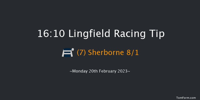 Lingfield 16:10 Handicap Hurdle (Class 5) 16f Sat 18th Feb 2023