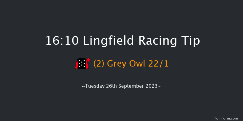 Lingfield 16:10 Maiden (Class 5) 8f Sat 16th Sep 2023