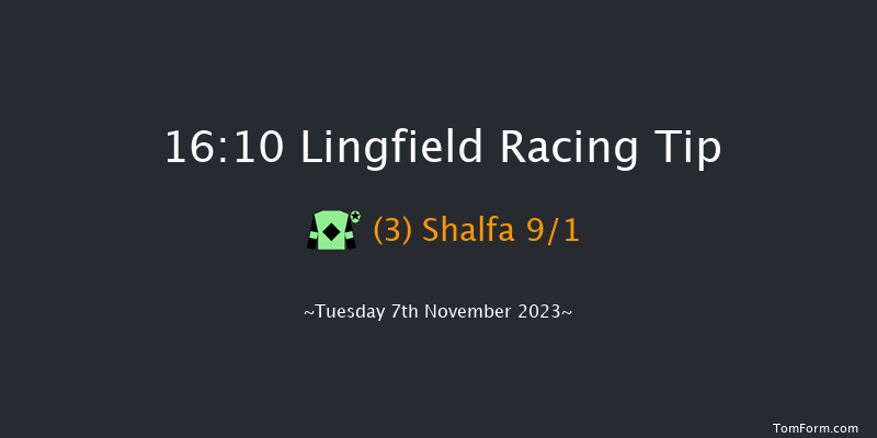 Lingfield 16:10 Handicap (Class 6) 10f Sun 5th Nov 2023
