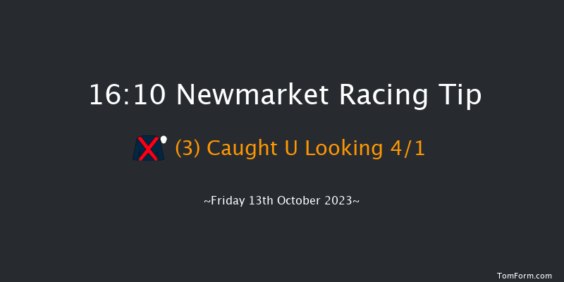 Newmarket 16:10 Group 1 (Class 1) 8f Sat 7th Oct 2023