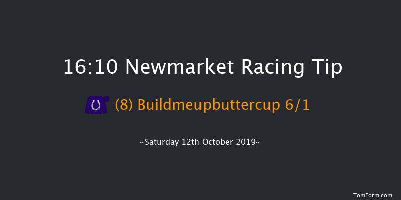 Newmarket 16:10 Handicap (Class 2) 18f Fri 11th Oct 2019