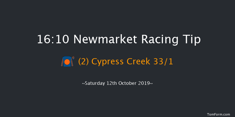 Newmarket 16:10 Handicap (Class 2) 18f Fri 11th Oct 2019