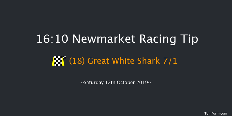 Newmarket 16:10 Handicap (Class 2) 18f Fri 11th Oct 2019