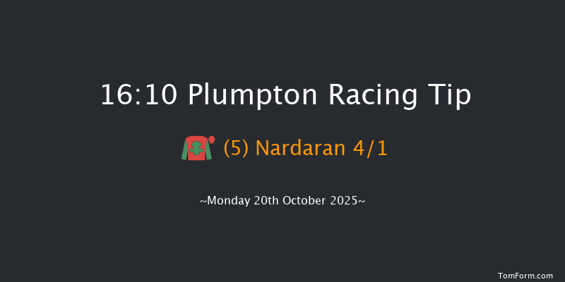 Plumpton 16-10 (Class 4) 15f Sun 21st Sep 2025
