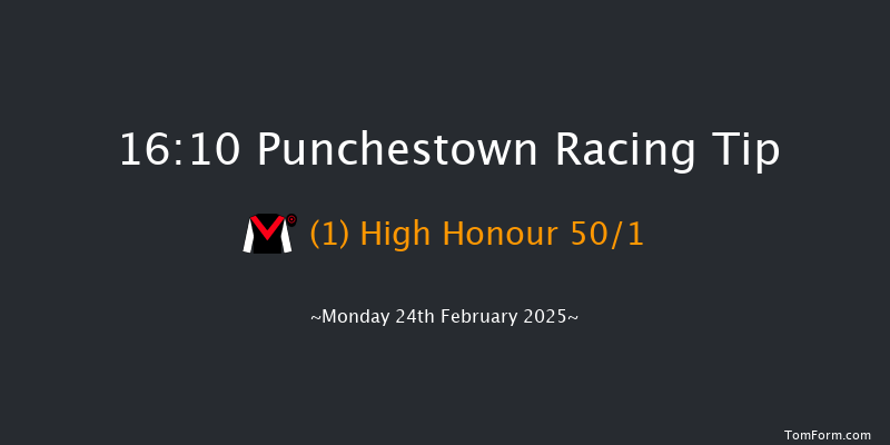 Punchestown  16:10 Handicap Hurdle 20f Fri 21st Feb 2025