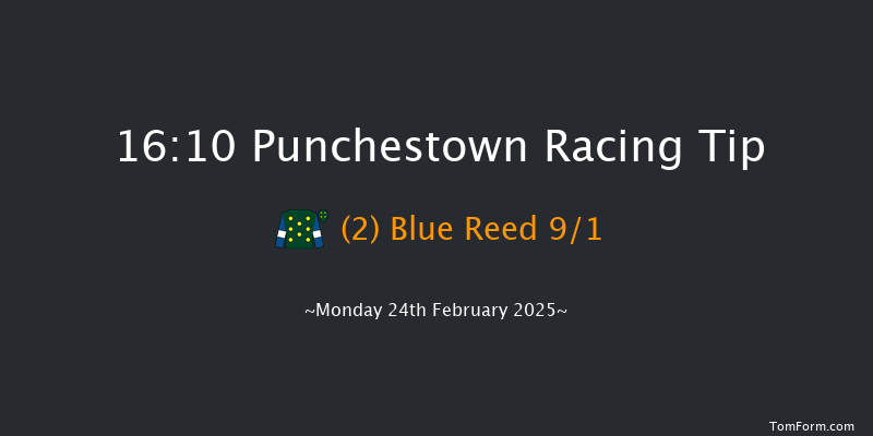 Punchestown  16:10 Handicap Hurdle 20f Fri 21st Feb 2025