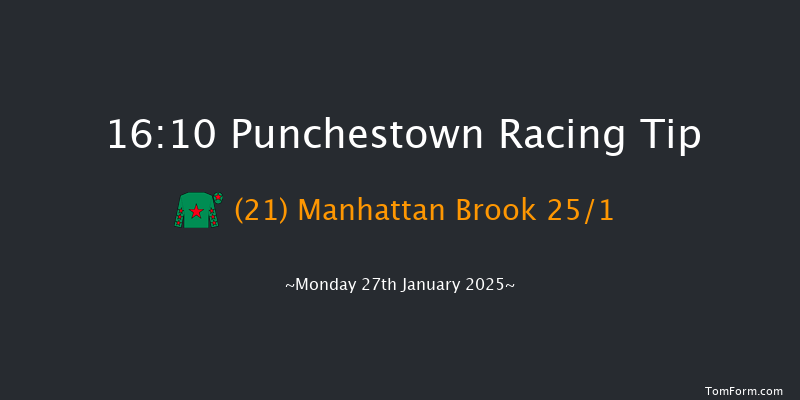 Punchestown  16:10 Handicap Hurdle 23f Mon 13th Jan 2025