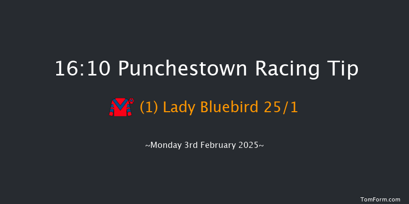 Punchestown  16:10 Handicap Hurdle 23f Mon 27th Jan 2025