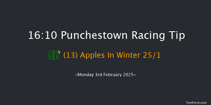 Punchestown  16:10 Handicap Hurdle 23f Mon 27th Jan 2025