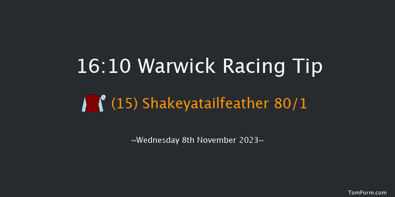 Warwick 16:10 NH Flat Race (Class 5) 16f Tue 7th Nov 2023