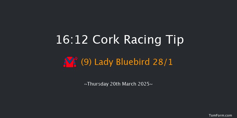 Cork  16:12 Handicap Hurdle 25f Fri 17th Jan 2025