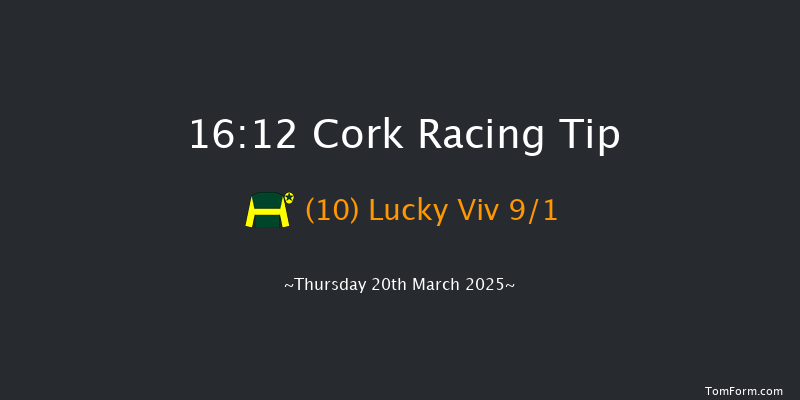 Cork  16:12 Handicap Hurdle 25f Fri 17th Jan 2025
