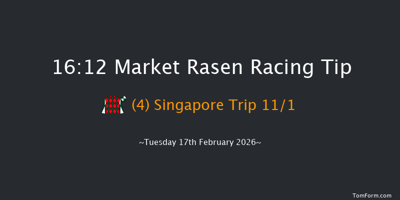 Market Rasen 16-12 (Class 5) 19f Sun 1st Feb 2026