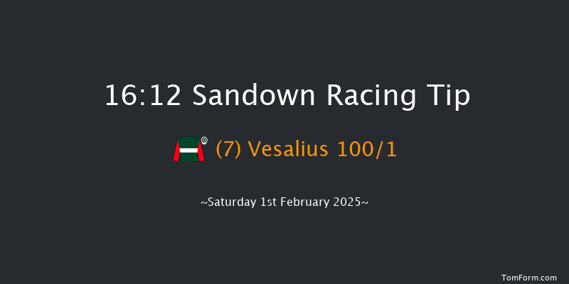 Sandown  16:12 NH Flat Race (Class 2) 16f Fri 24th Jan 2025