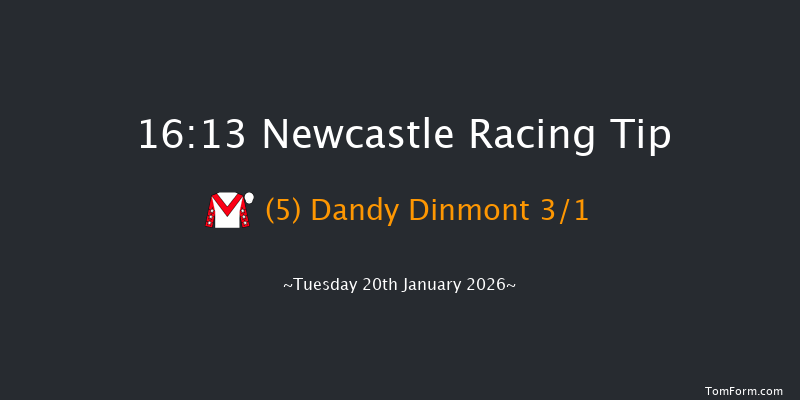 Newcastle 16-13 (Class 5) 5f Fri 16th Jan 2026