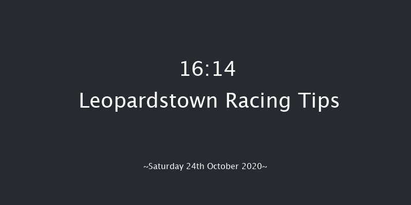 Trigo Stakes (Listed) Leopardstown 16:14 Listed 10f Sat 17th Oct 2020