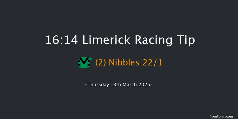 Limerick  16:14 Handicap Chase 23f Tue 28th Jan 2025
