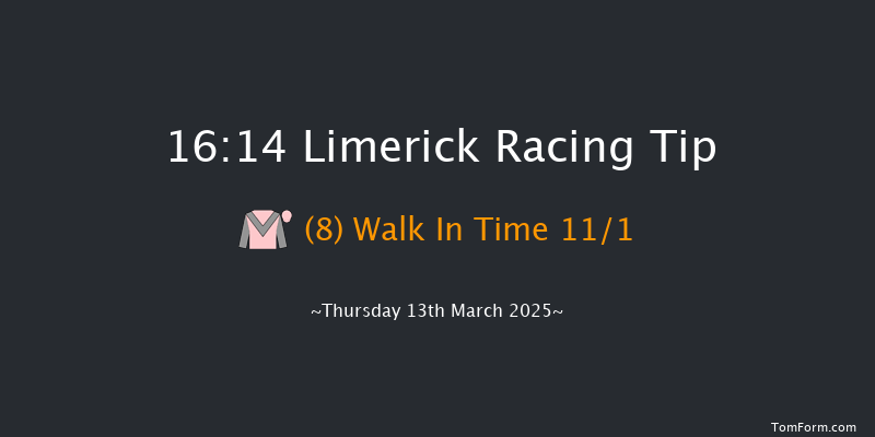 Limerick  16:14 Handicap Chase 23f Tue 28th Jan 2025