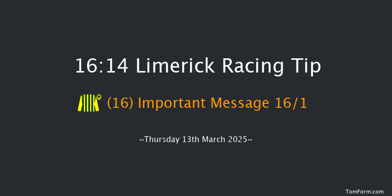 Limerick  16:14 Handicap Chase 23f Tue 28th Jan 2025
