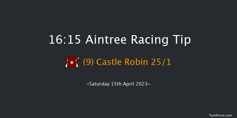Aintree 16:15 Handicap Chase (Class 1) 25f Fri 14th Apr 2023