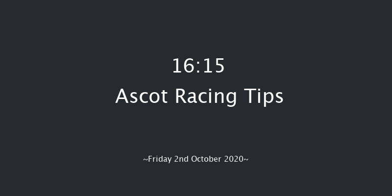 Charlie Waller Trust Novice Stakes Ascot 16:15 Stakes (Class 3) 12f Sat 5th Sep 2020