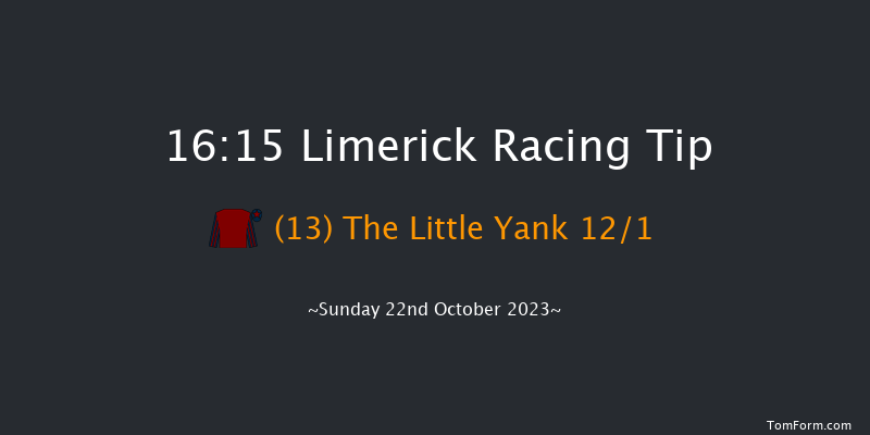 Limerick 16:15 Handicap Chase 24f Sat 21st Oct 2023