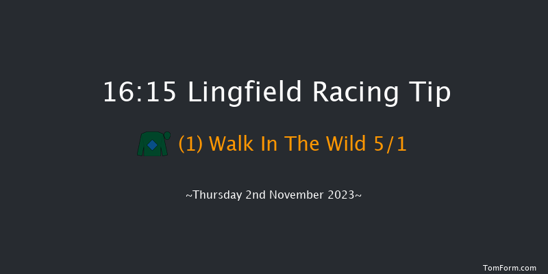 Lingfield 16:15 Handicap Chase (Class 5) 16f Wed 1st Nov 2023