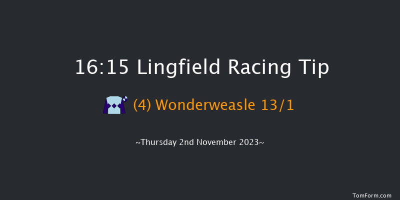 Lingfield 16:15 Handicap Chase (Class 5) 16f Wed 1st Nov 2023